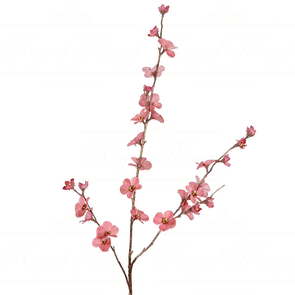 SP 20923 goodwill branches cherry blossom flower stem pink Sp 20923 Goodwill Branches Cherry Blossom Flower Stem Pink